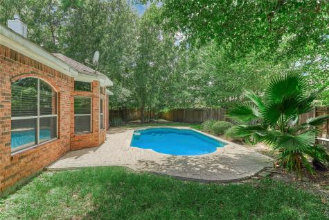 7 Raindance Court The Woodlands TX 77385