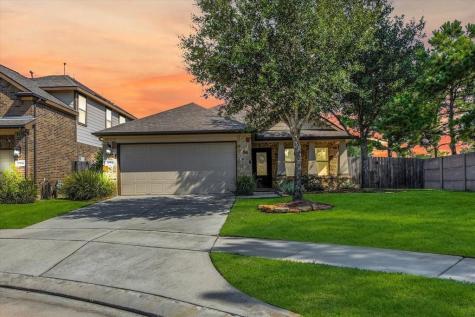 20502 S Blue Hyacinth Drive Cypress TX 77433