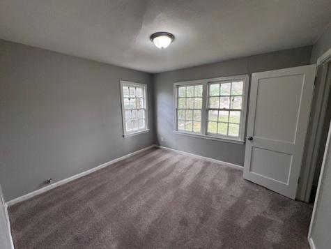 7343 Forrestal Street Houston TX 77033
