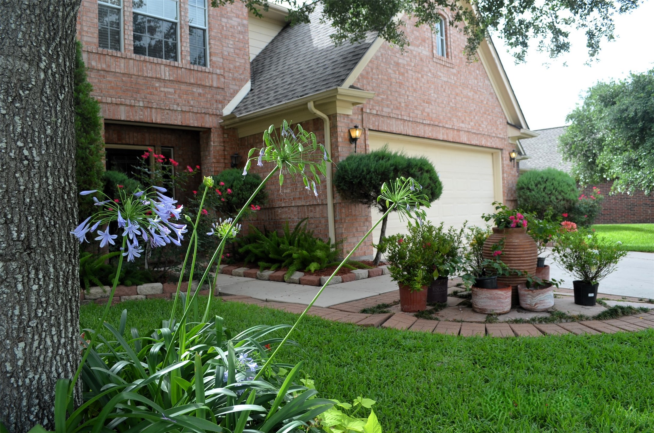 16618 Broadoak Grove Lane Sugar Land TX 77498