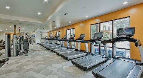 2900 N Braeswood Boulevard 1414 Houston TX 77025