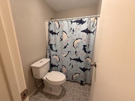 19519 Atascocita Shores Drive Humble TX 77346