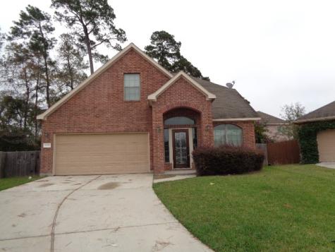 10205 Wood Fern Court Conroe TX 77385