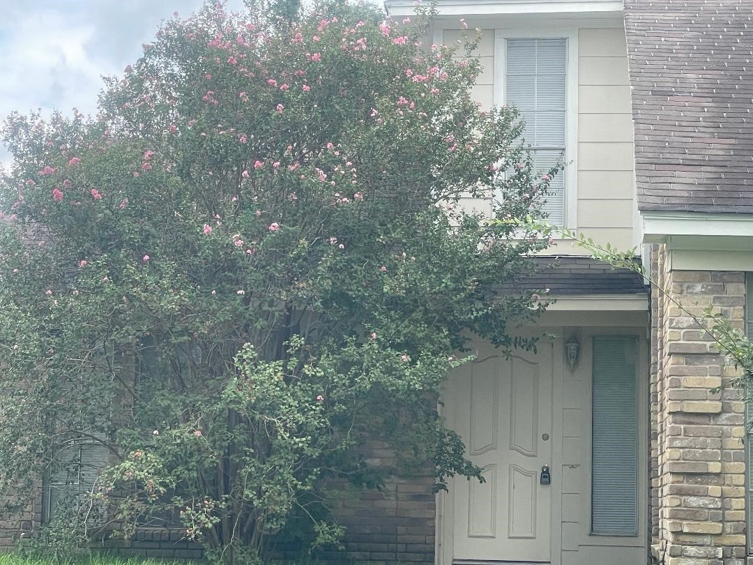2127 Woodland Springs Street Houston TX 77077