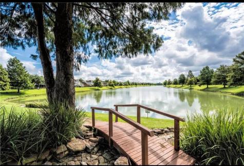 3827 Shady Breeze Drive Houston TX 77082