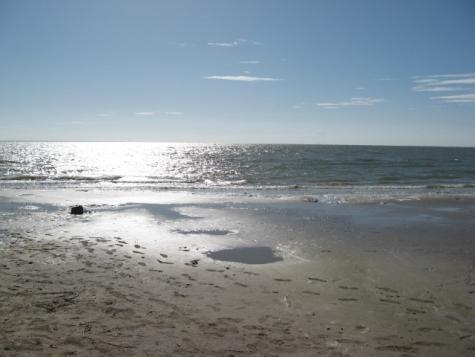 4726 Caroline Street Seabrook TX 77586