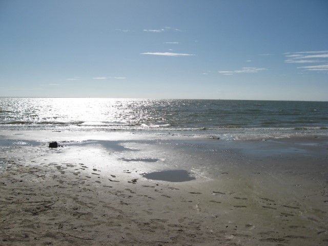 4726 Caroline Street Seabrook TX 77586