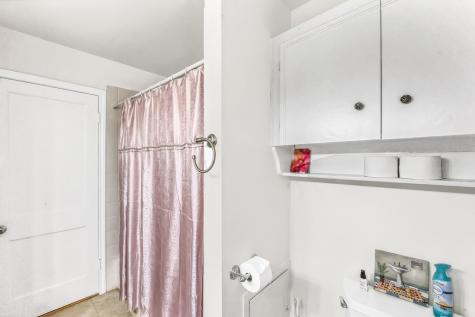 5223 Chestnut Street Bellaire TX 77401