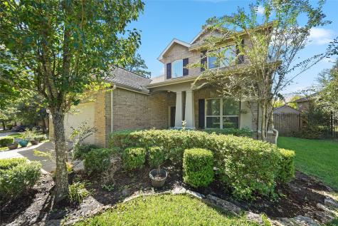 15 Black Swan Court Magnolia TX 77354