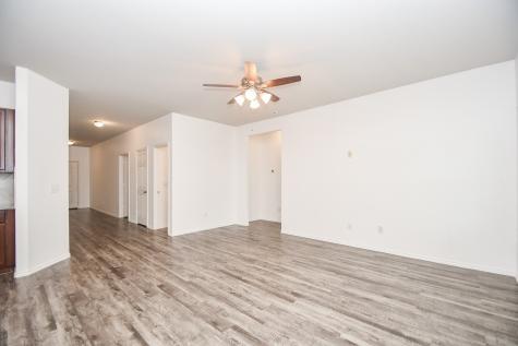 2215 Bronze Bay Drive Missouri City TX 77459