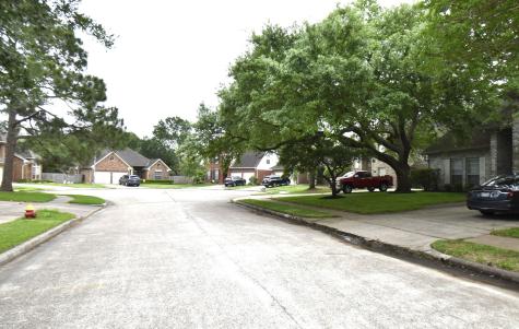 14806 Elk Hill Court Houston TX 77062