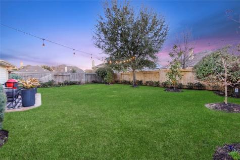 26119 Savory Springs Lane Katy TX 77494