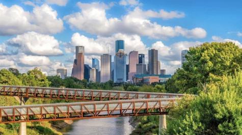 9711 Linkmeadow Lane 11 Houston TX 77025