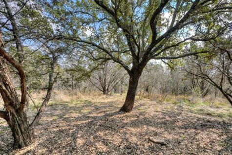 103 Palmie Lane Marble Falls TX 78654