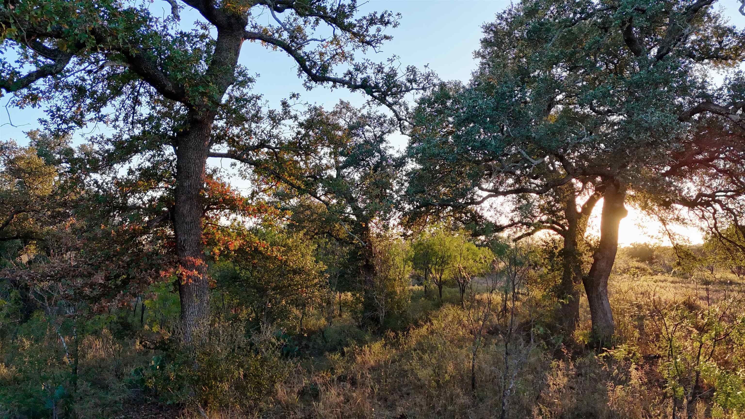 6540 Cr 409 Valley Spring TX 76885