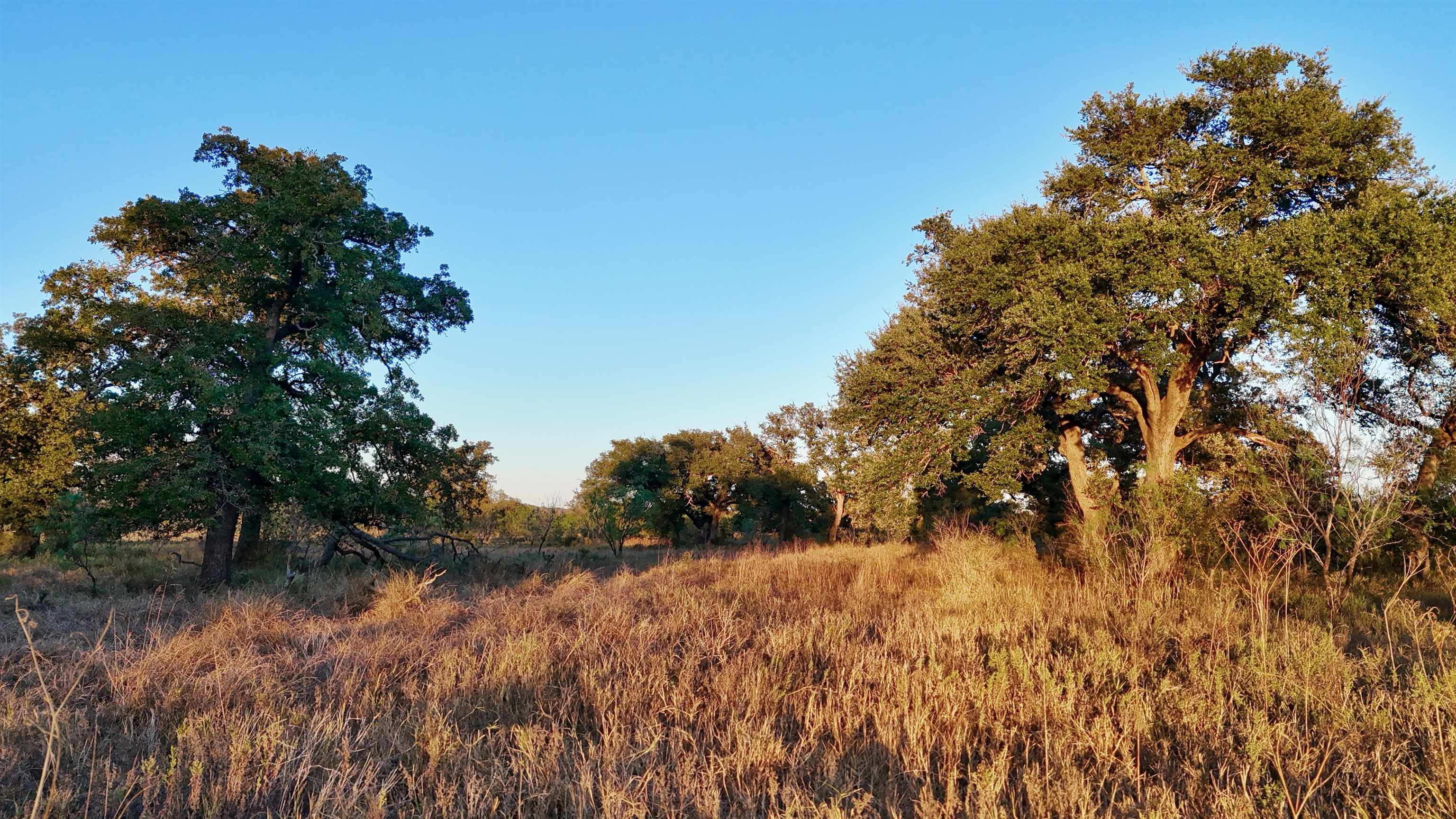 6540 Cr 409 Valley Spring TX 76885