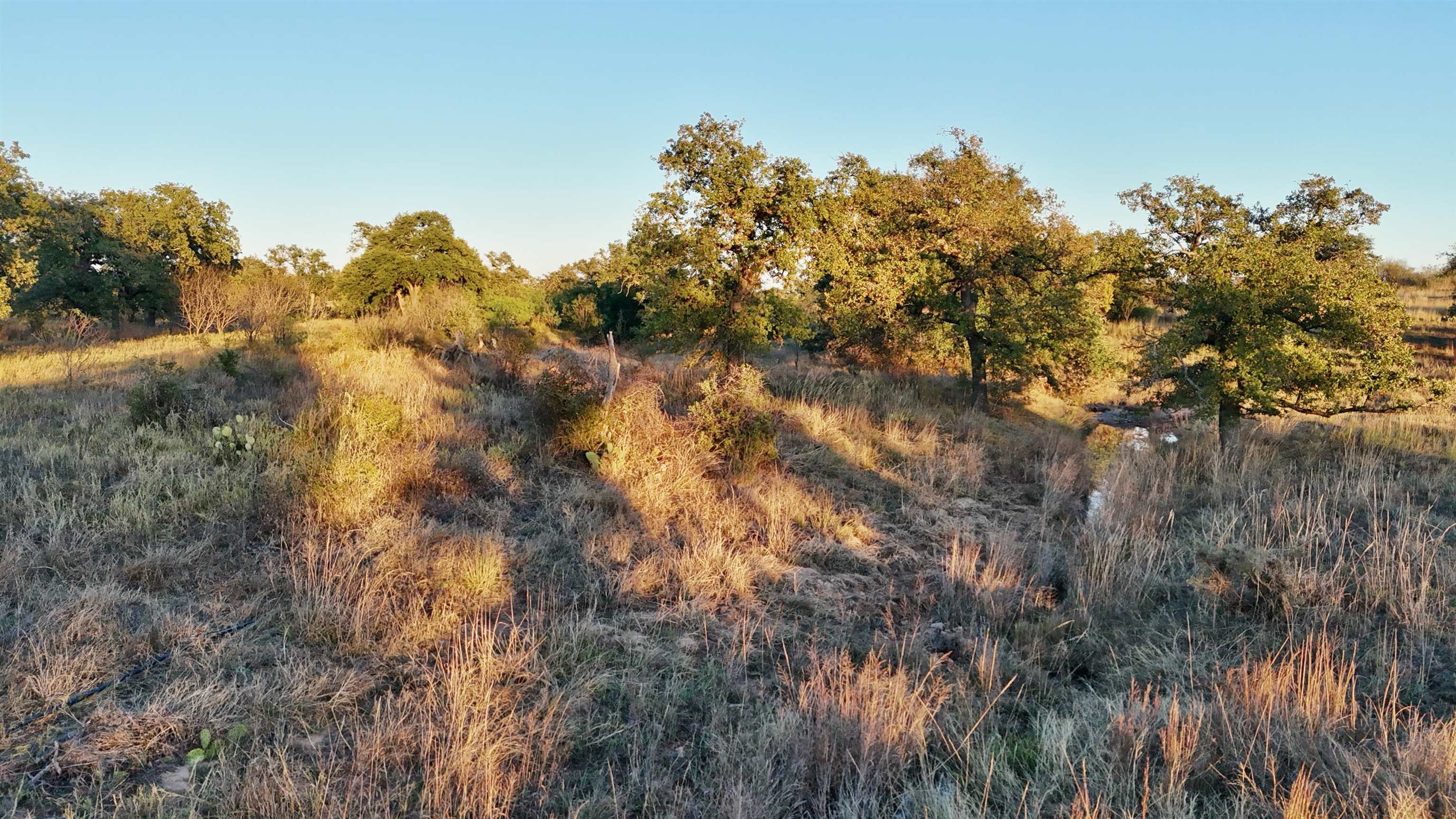 6540 Cr 409 Valley Spring TX 76885