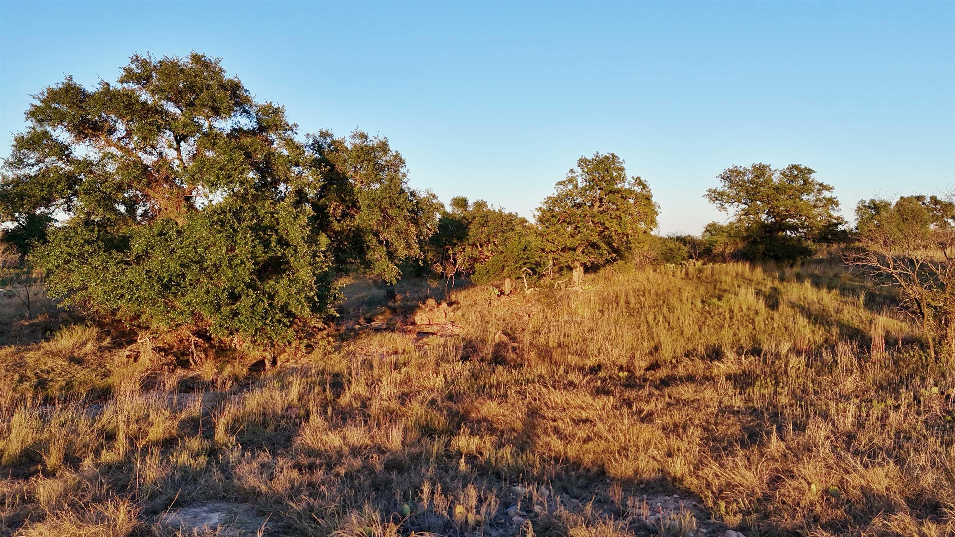 6540 Cr 409 Valley Spring TX 76885