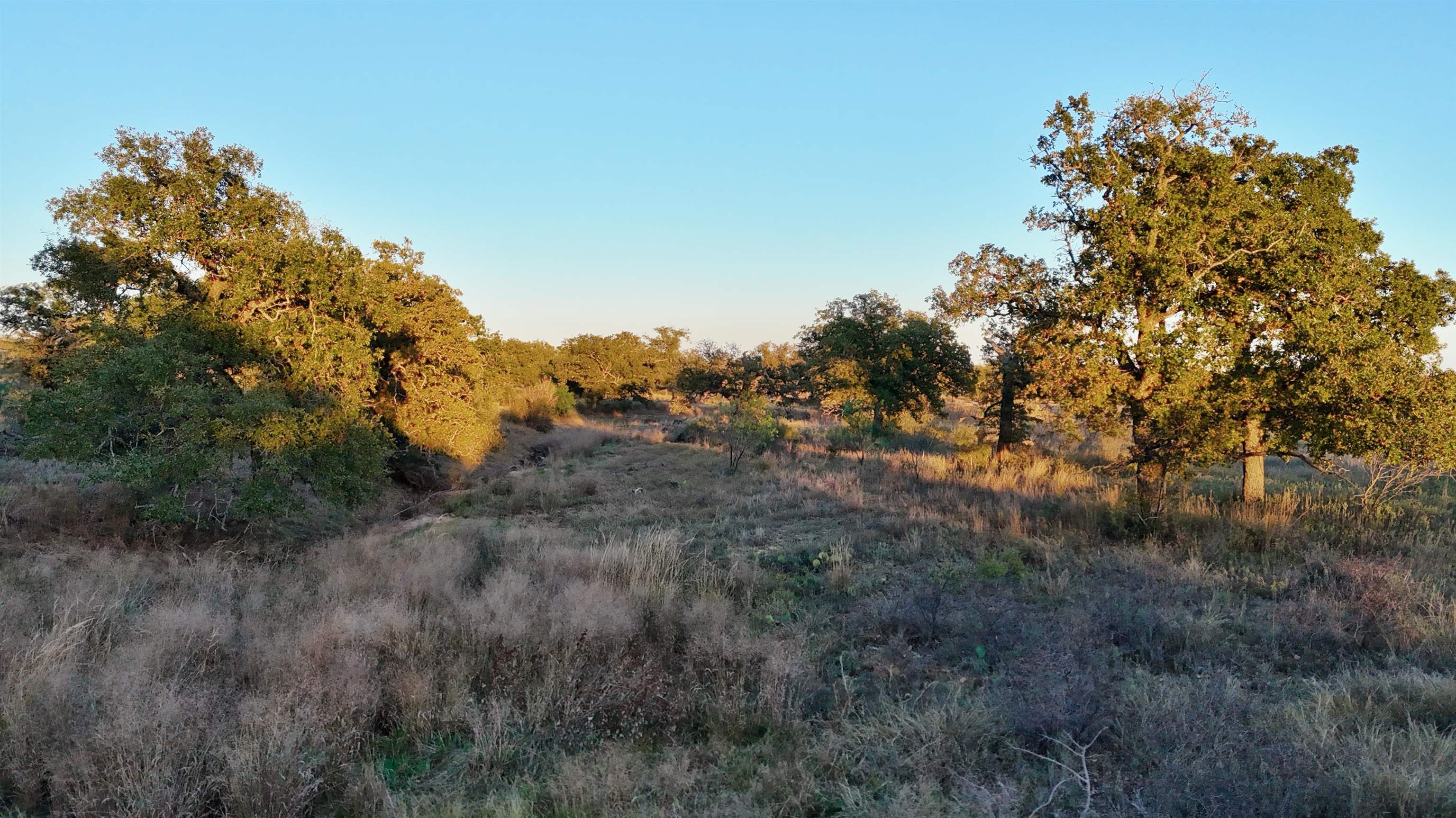 6540 Cr 409 Valley Spring TX 76885