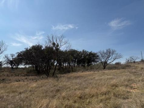 1919 B N Highway 16 Highway Llano TX 78643