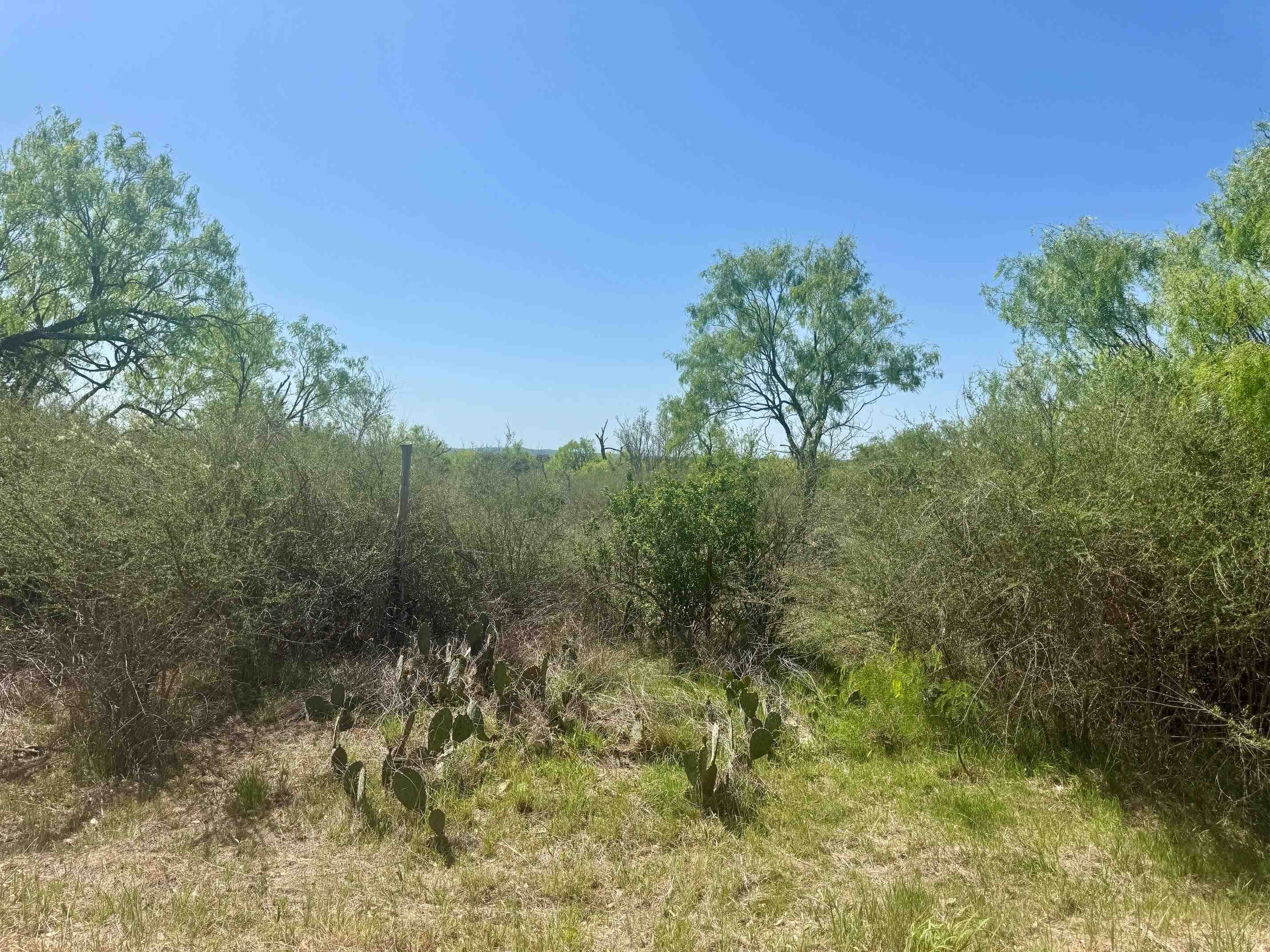 790 Cr 102 Llano TX 78643