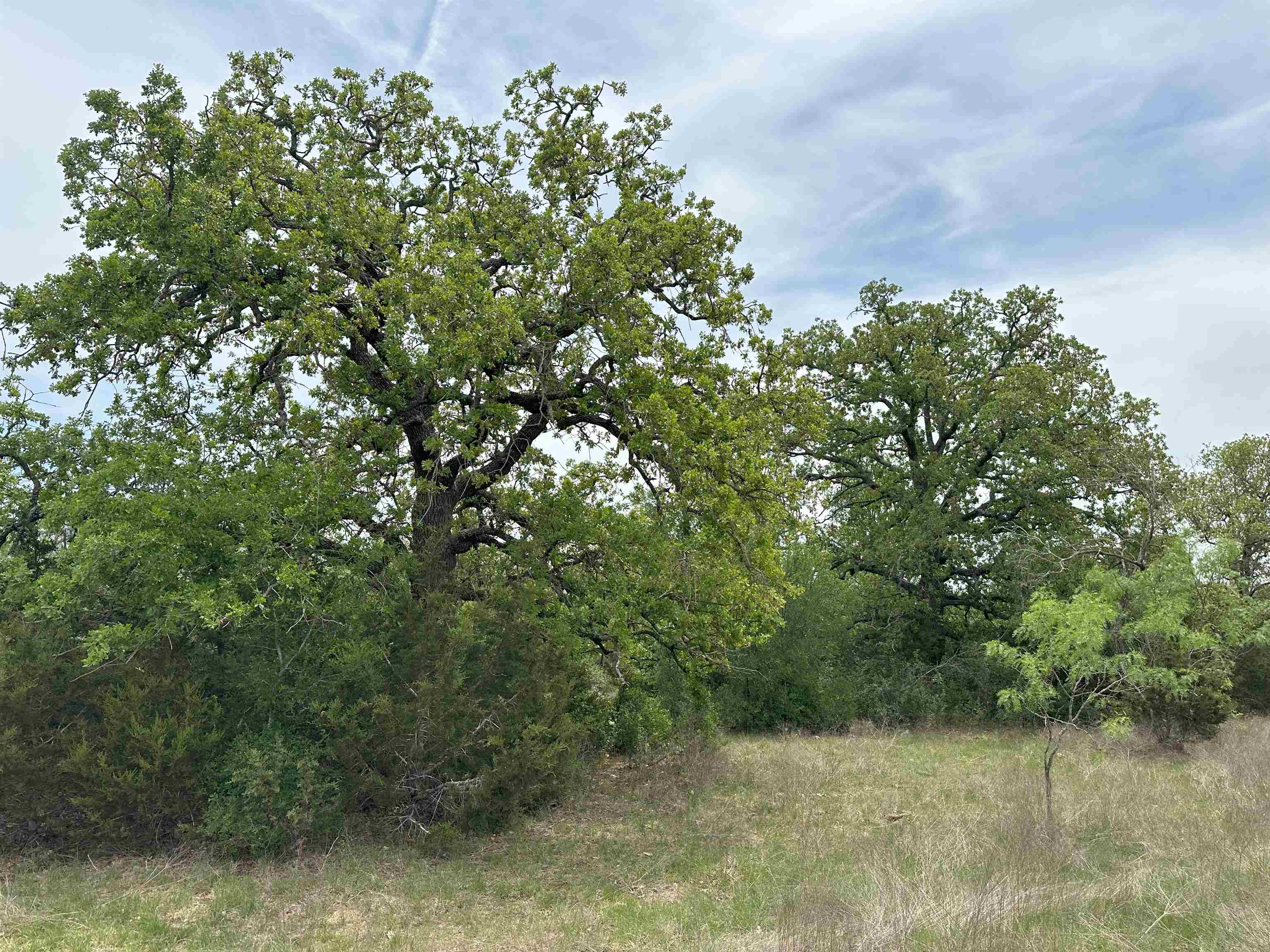 Unk County Road 330 Bertram TX 78605