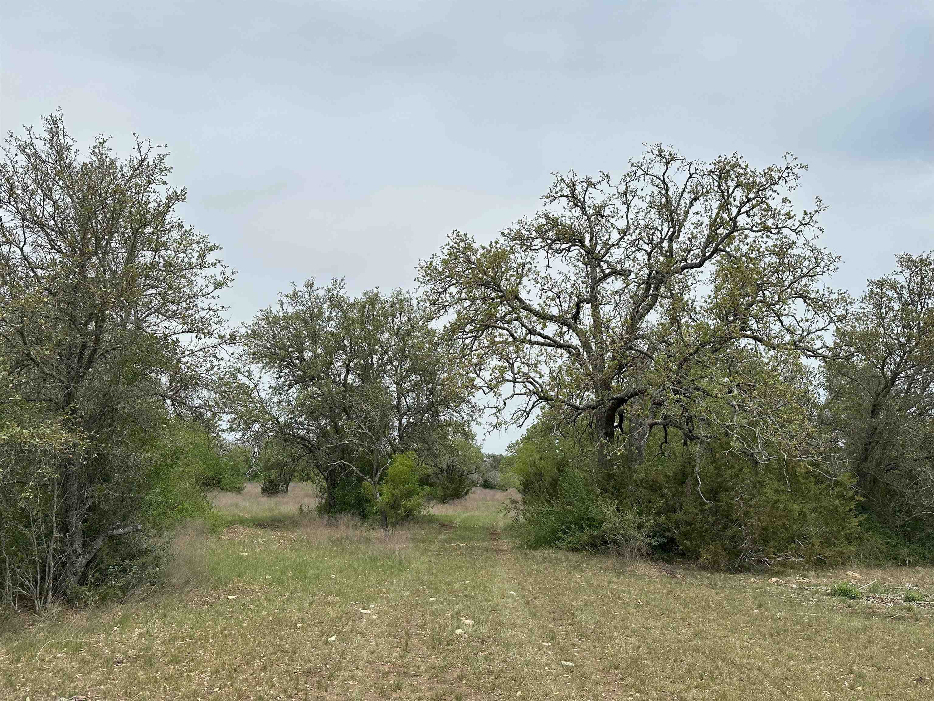 Unk County Road 330 Bertram TX 78605