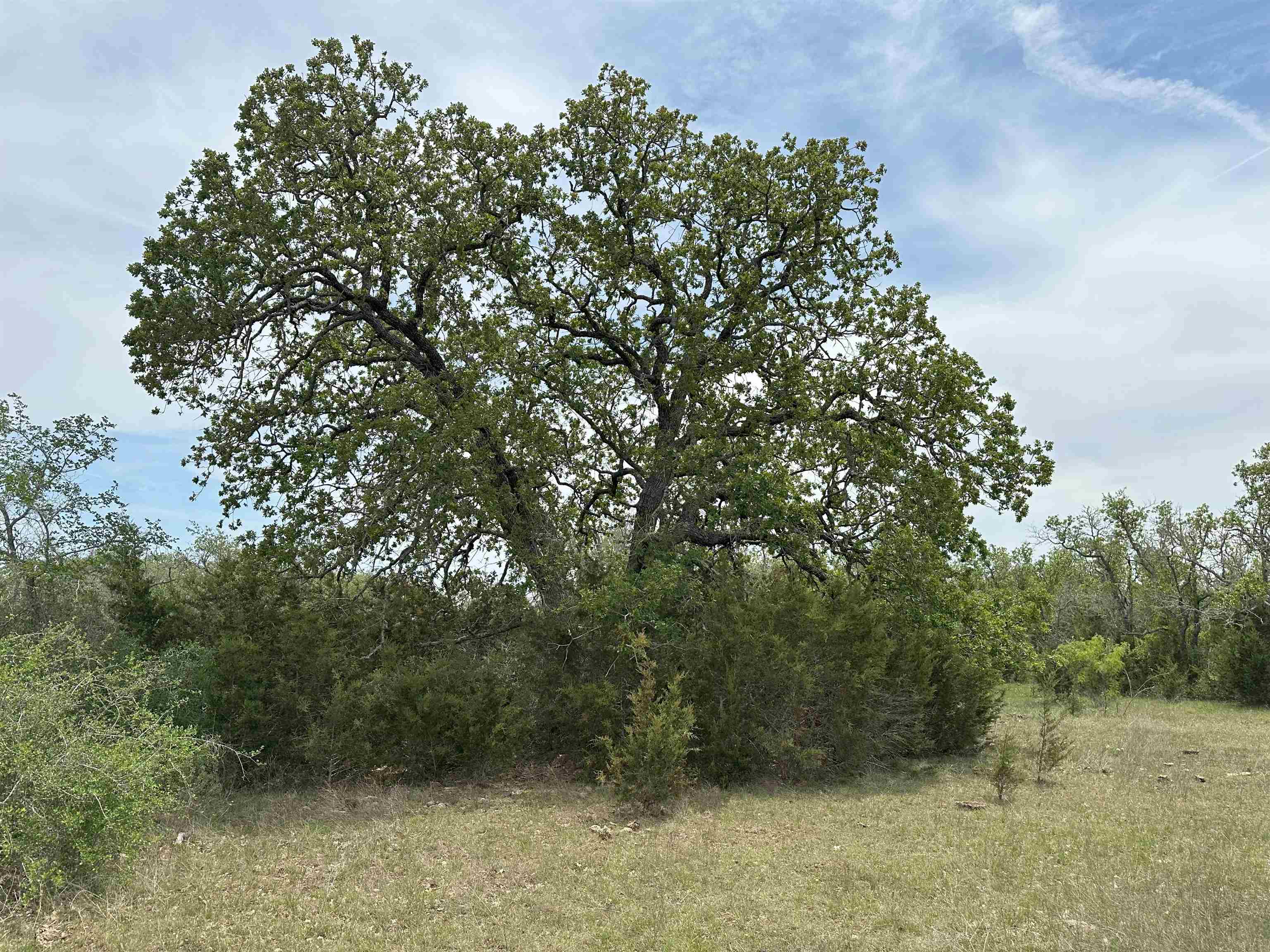 Unk County Road 330 Bertram TX 78605
