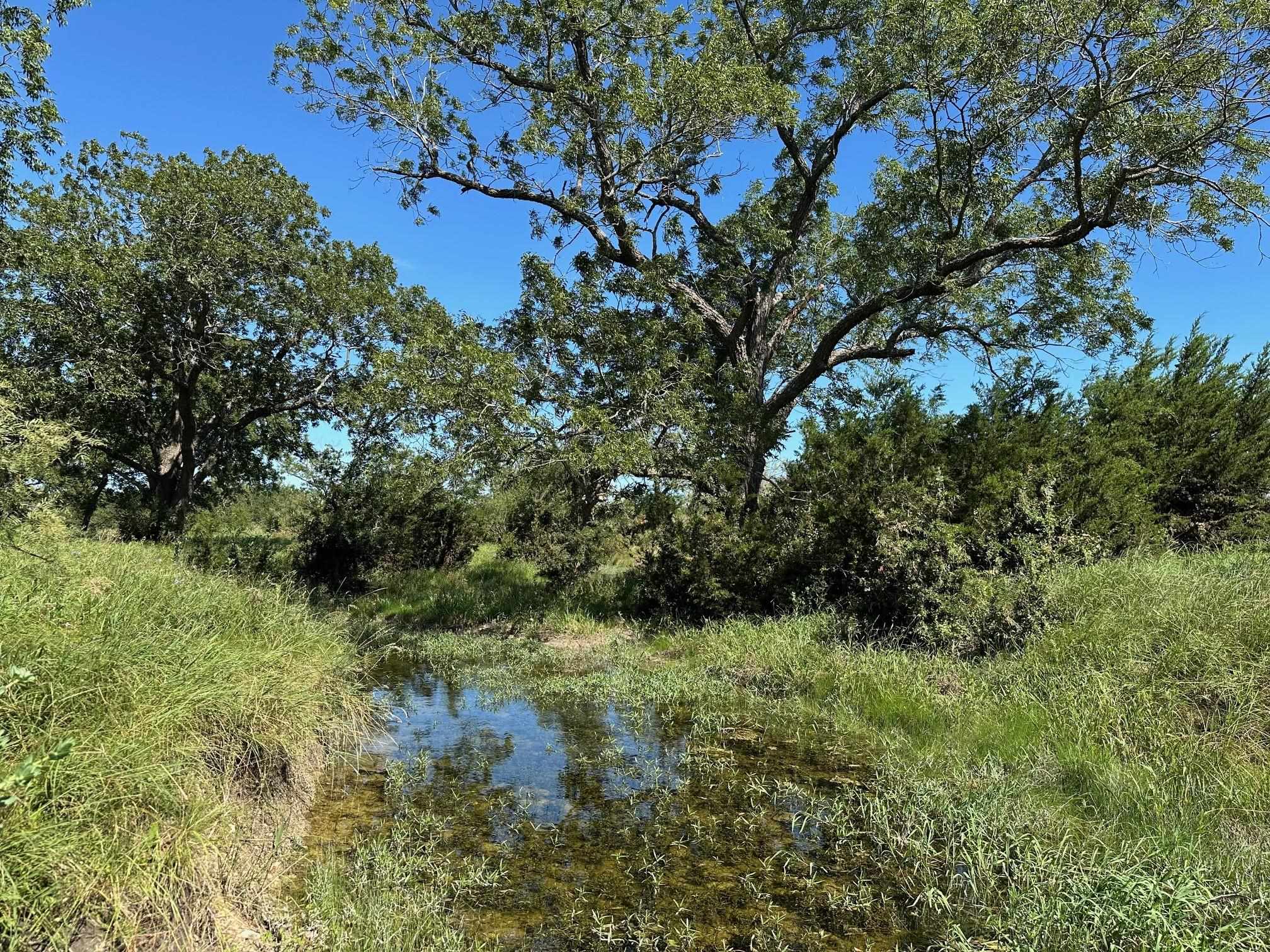 Unk County Road 330 Bertram TX 78605