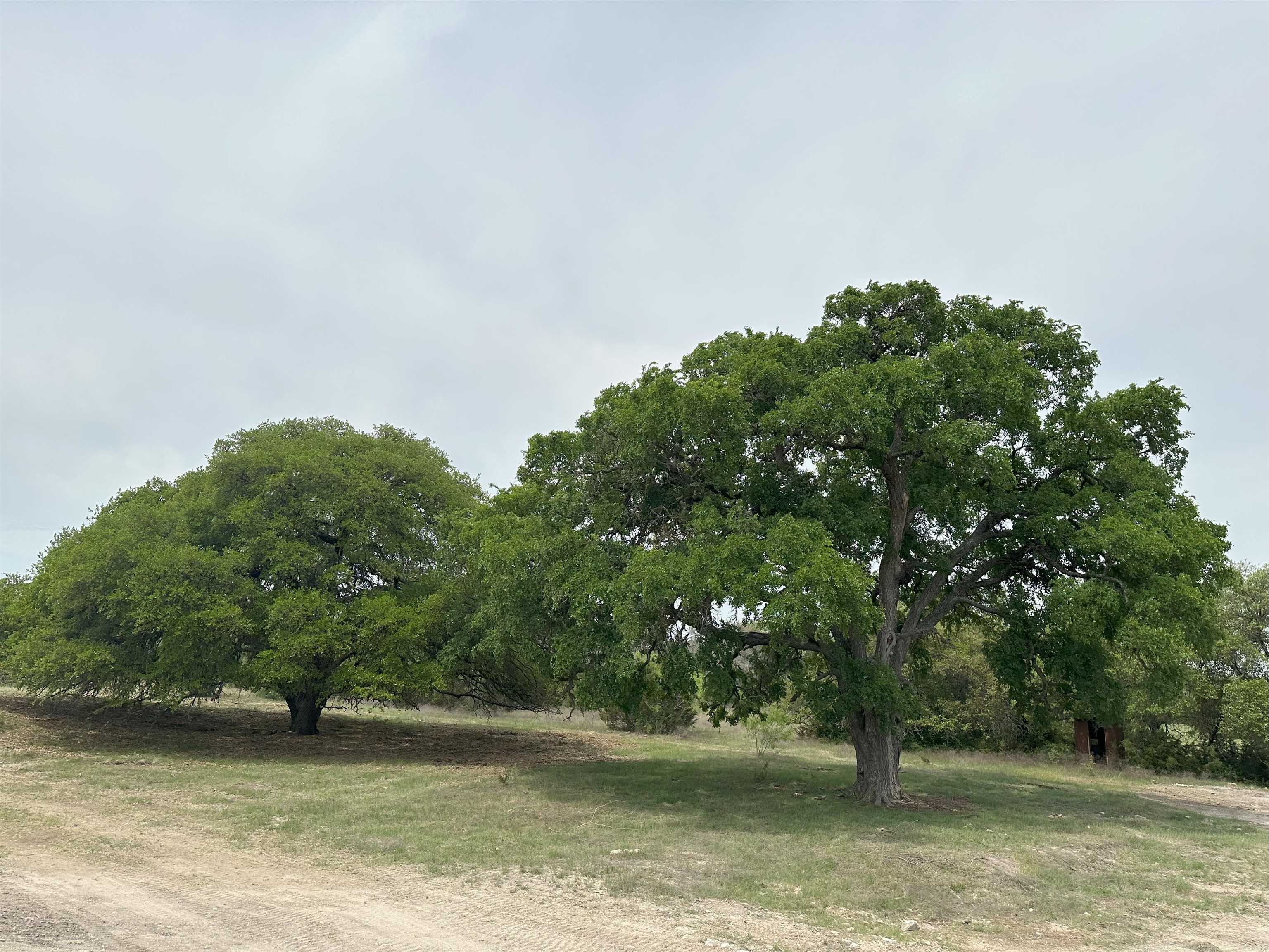 Unk County Road 330 Bertram TX 78605