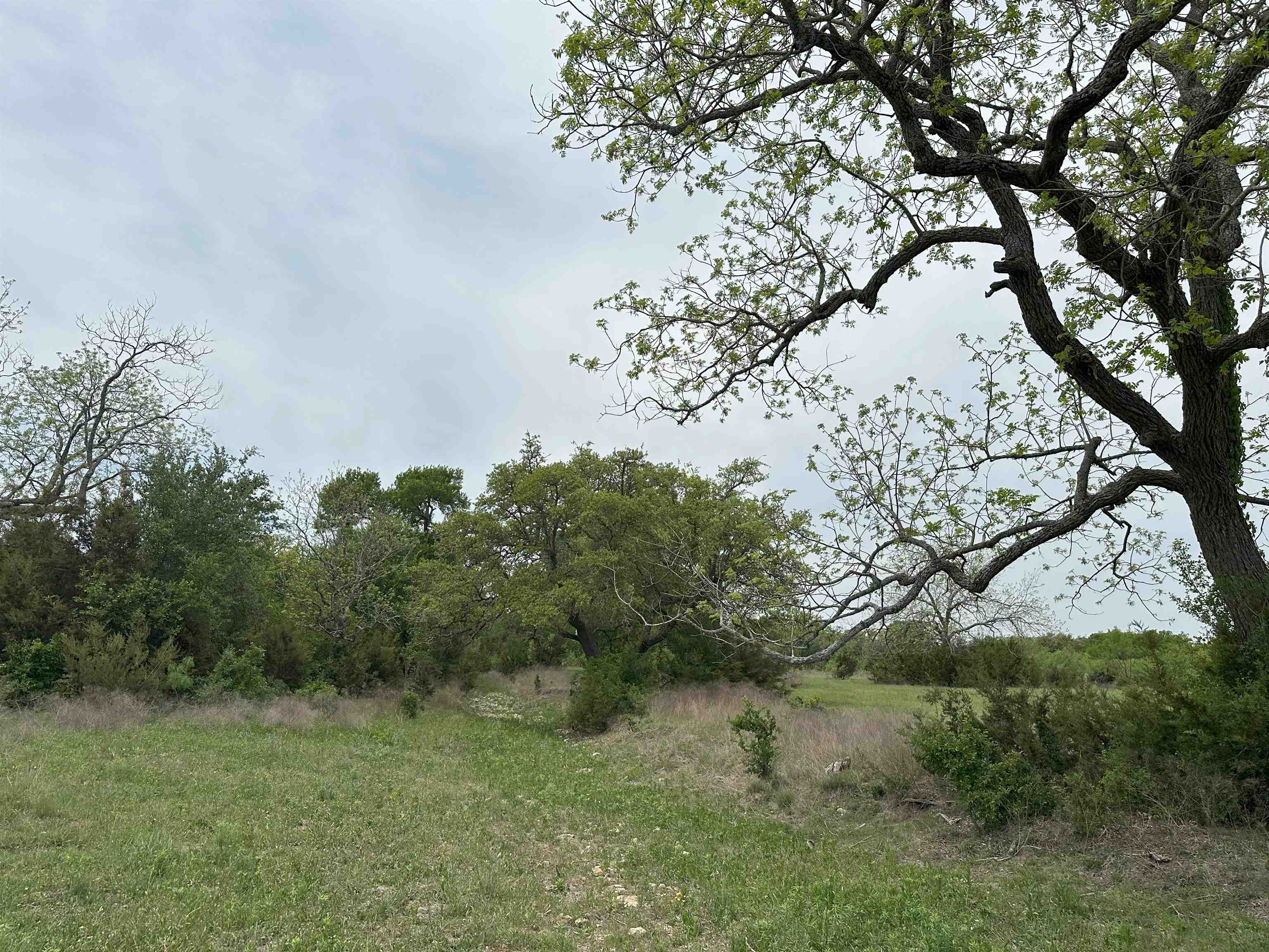 Unk County Road 330 Bertram TX 78605