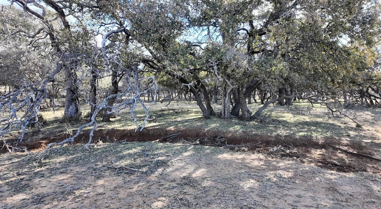 Cr 434 Rochelle TX 76872