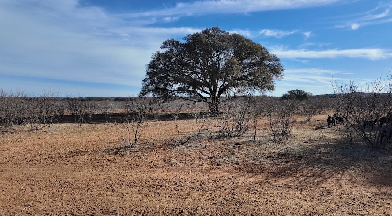 Cr 434 Rochelle TX 76872