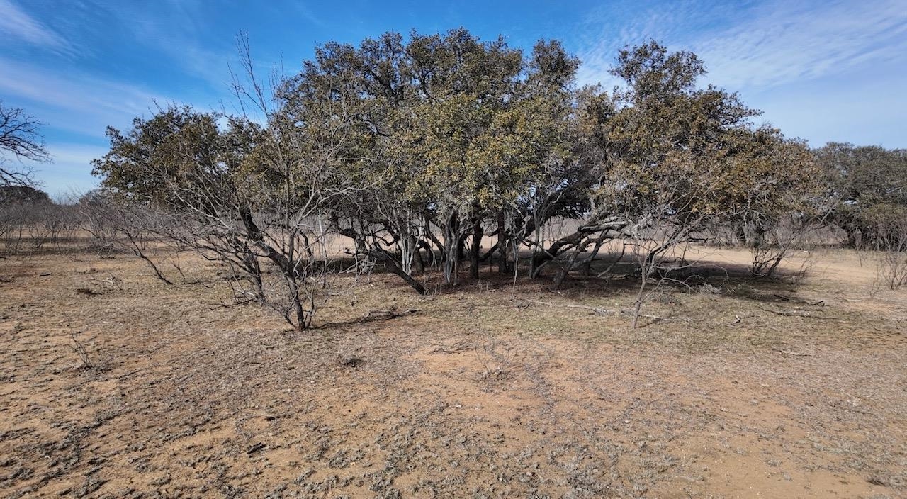 Cr 434 Rochelle TX 76872
