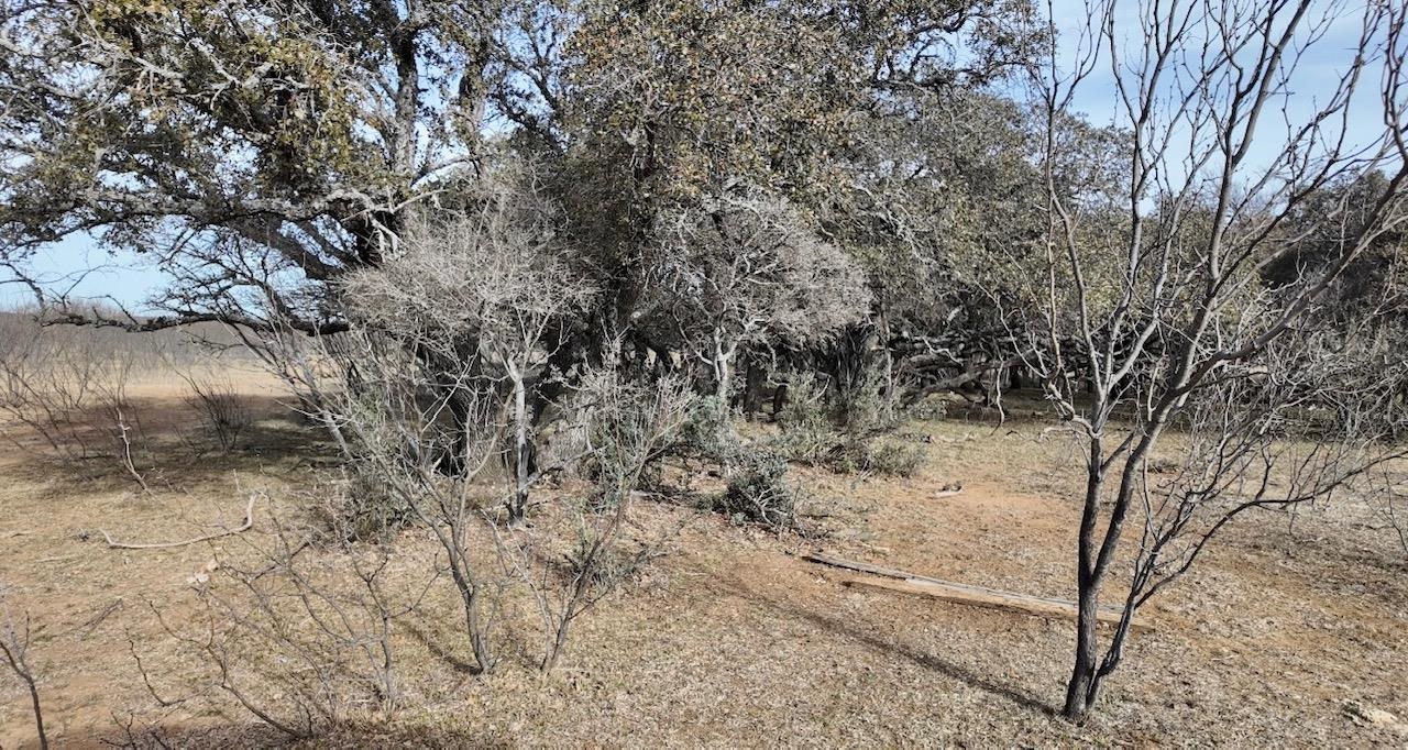 Cr 434 Rochelle TX 76872