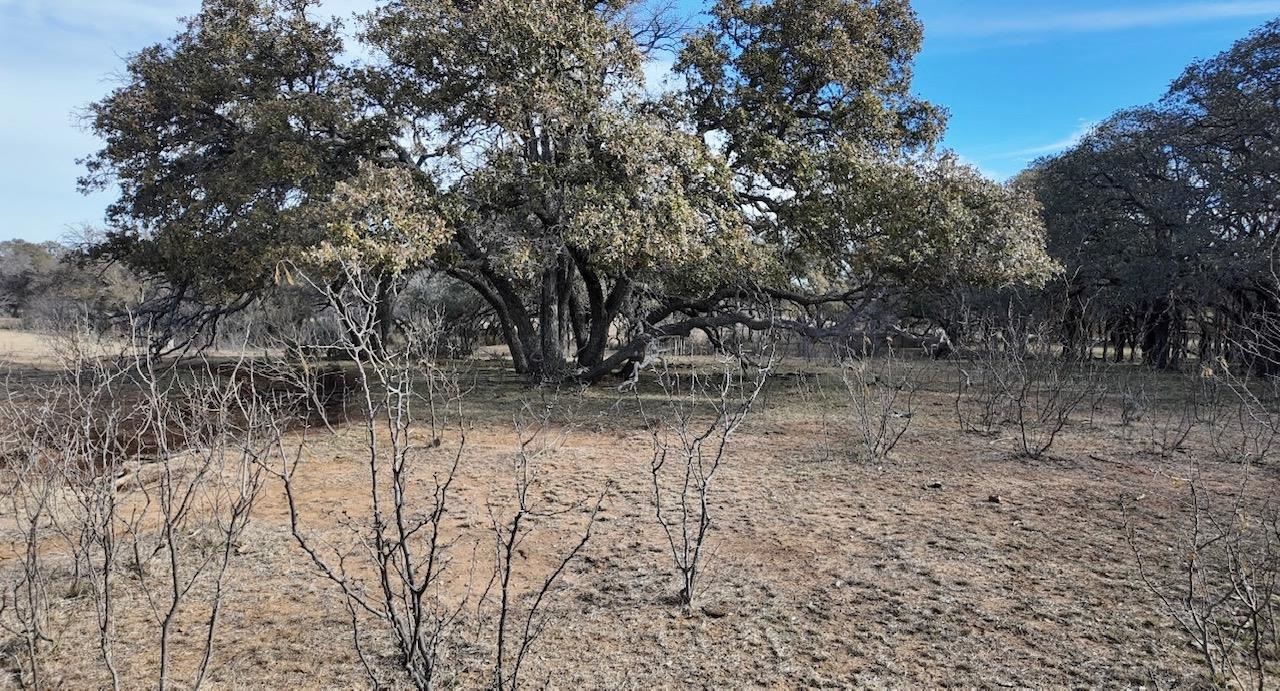 Cr 434 Rochelle TX 76872