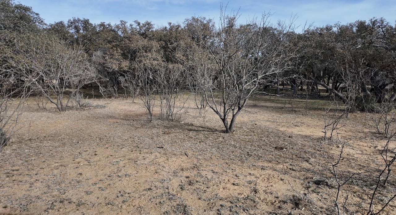 Cr 434 Rochelle TX 76872