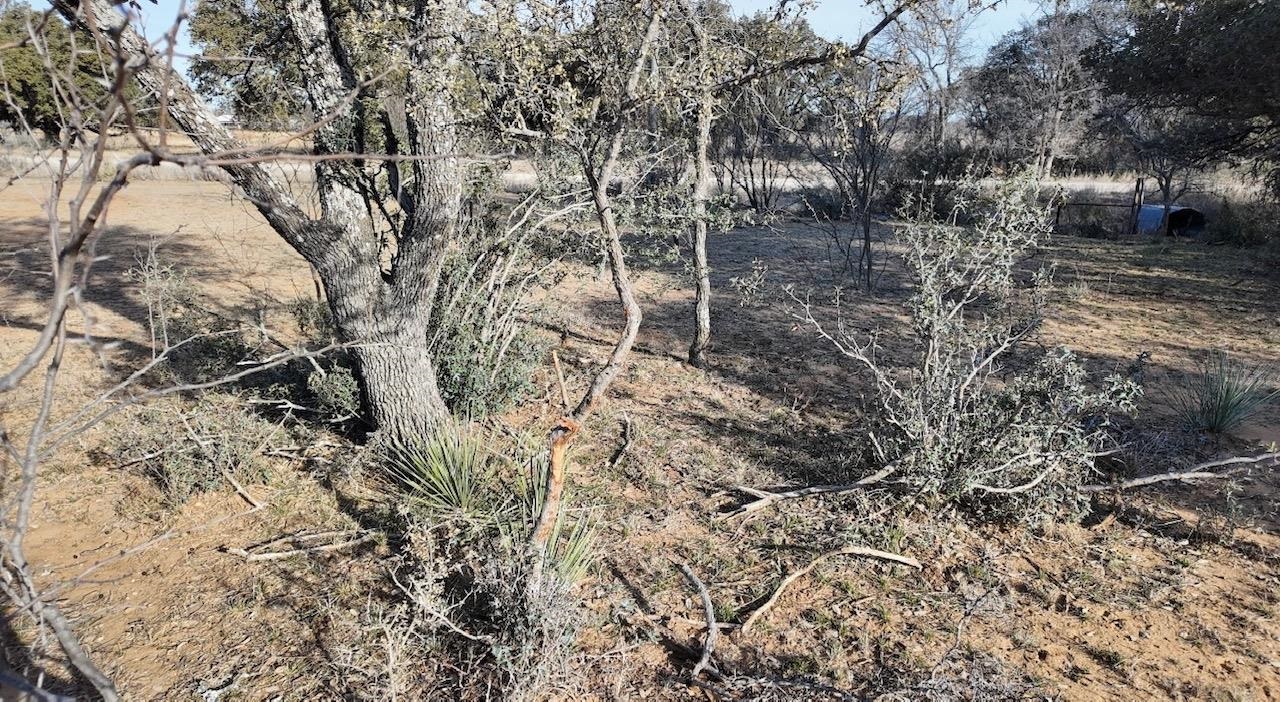 Cr 434 Rochelle TX 76872