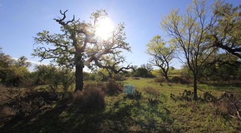 2976 Lower Willow Creek Road Art TX 76820