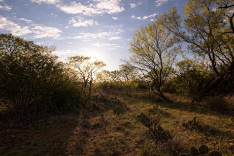 2976 Lower Willow Creek Road Art TX 76820