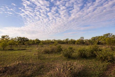 2976 Lower Willow Creek Road Art TX 76820