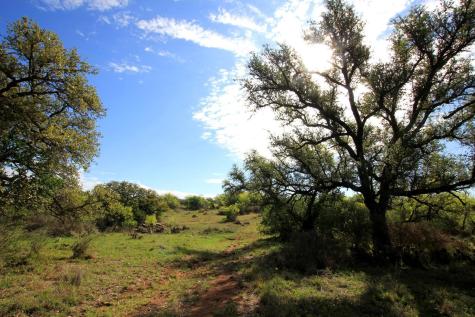 2976 Lower Willow Creek Road Art TX 76820