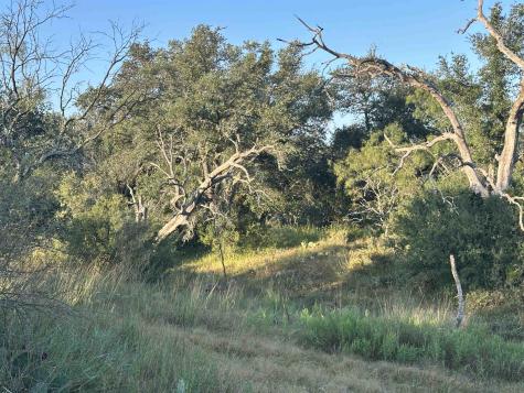 2976 Lower Willow Creek Road Art TX 76820
