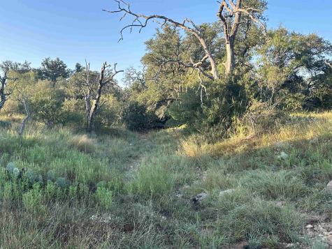 2976 Lower Willow Creek Road Art TX 76820