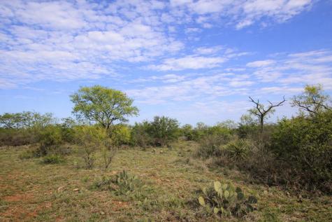 2976 Lower Willow Creek Road Art TX 76820