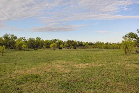 2976 Lower Willow Creek Road Art TX 76820