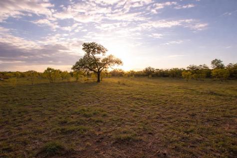 2976 Lower Willow Creek Road Art TX 76820