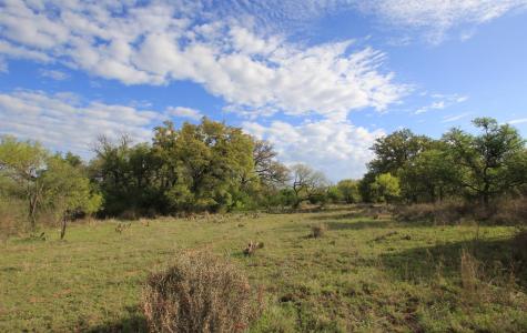 2976 Lower Willow Creek Road Art TX 76820