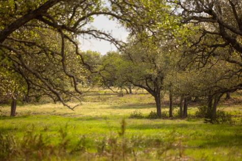 2609 Prochnow Road Dripping Springs TX 78620
