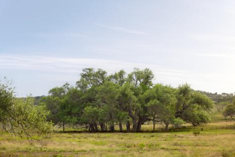 2609 Prochnow Road Dripping Springs TX 78620
